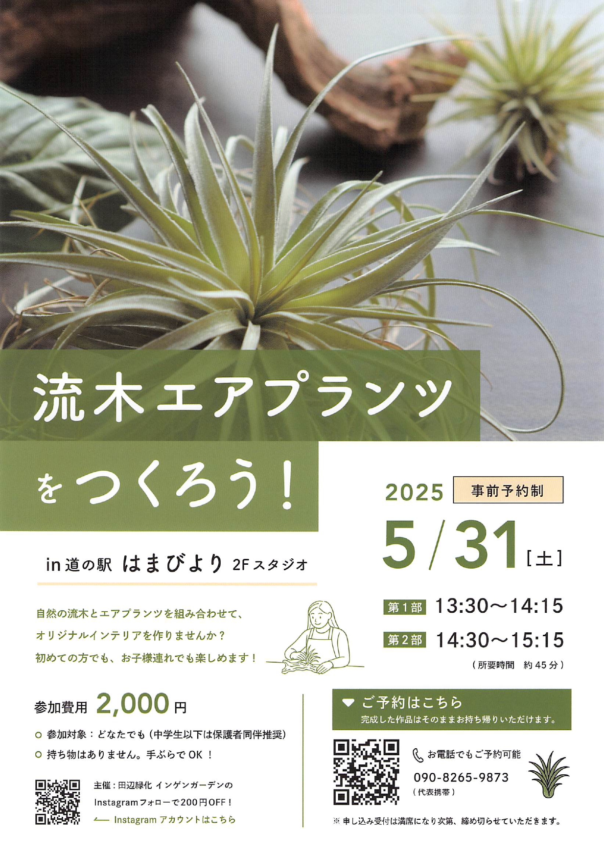流木エアプランツワークショップ開催！