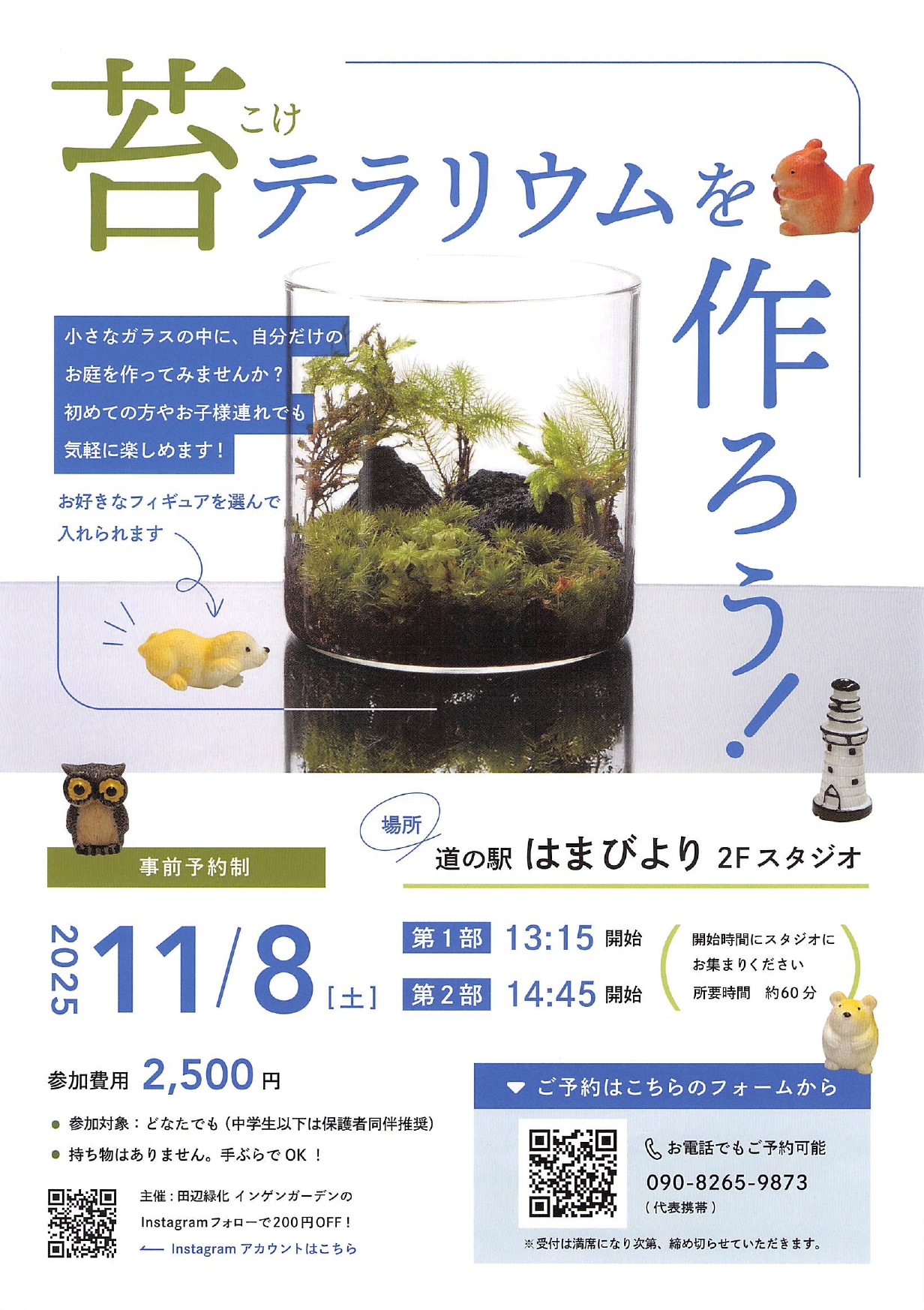 (11/8)🎪苔テラリウムを作ろう！